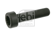 Skrutka zotrvačníka FEBI BILSTEIN 24612